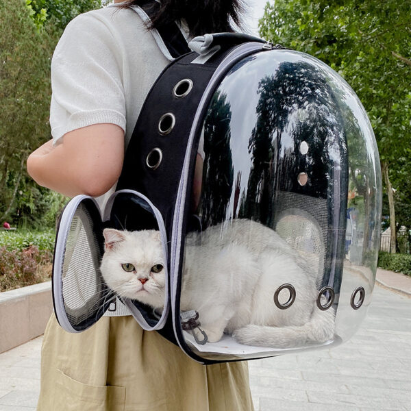 Cat Carrying Bag Space Pet Backpack