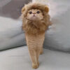 Cat Costume Cute Lion Mane Wig Hat - Fun Pet Decor for Halloween