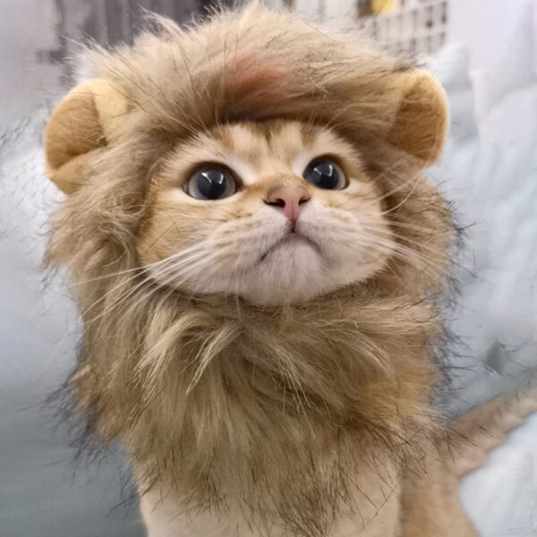 Cat Costume Cute Lion Mane Wig Hat - Fun Pet Decor for Halloween