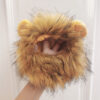 Cat Costume Cute Lion Mane Wig Hat - Fun Pet Decor for Halloween