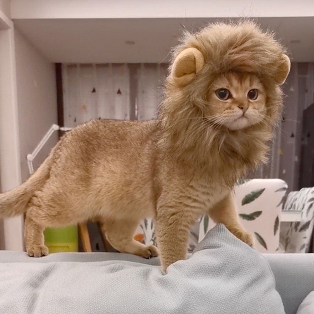 Cat Costume Cute Lion Mane Wig Hat