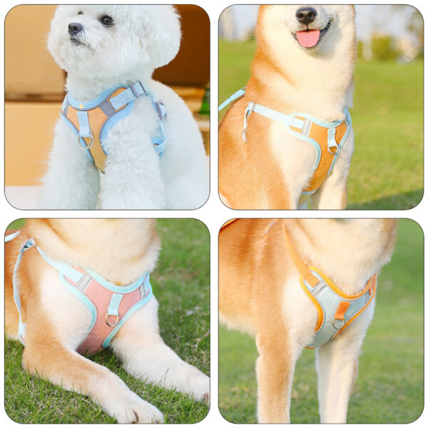 Cat and Dog Harness | Comfortable and Stylish