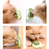 Natural Catnip Ball for Cats | Promote Digestion and Play