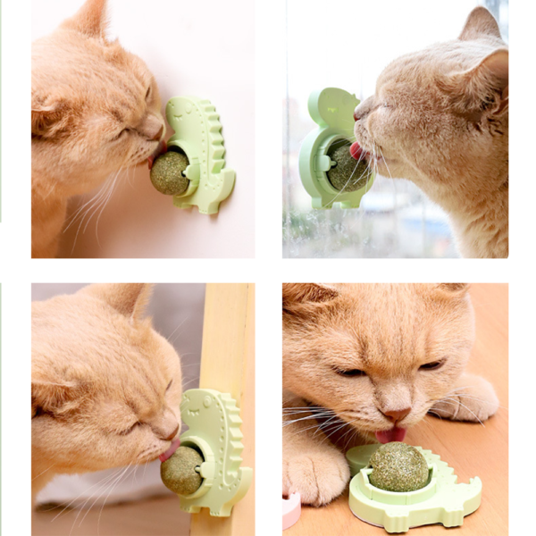 Natural Catnip Ball for Cats | Promote Digestion and Play