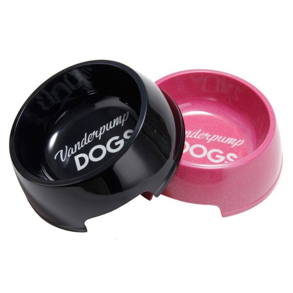 Anti-Skid Dog Feeding Bowl | Water and Food Dispenser