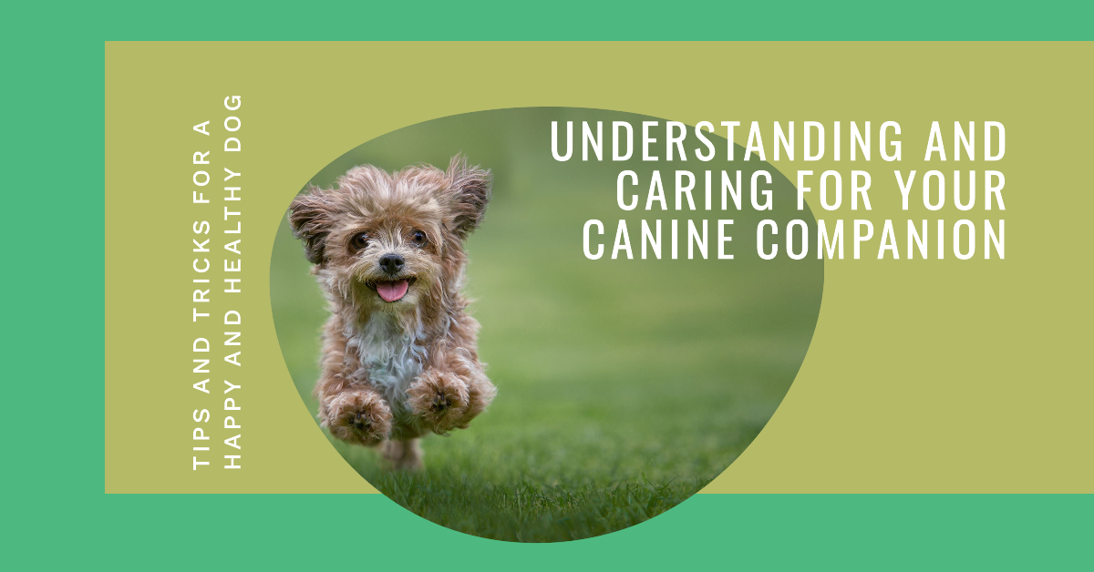 Understanding and Caring for Your Beloved Canine Companion