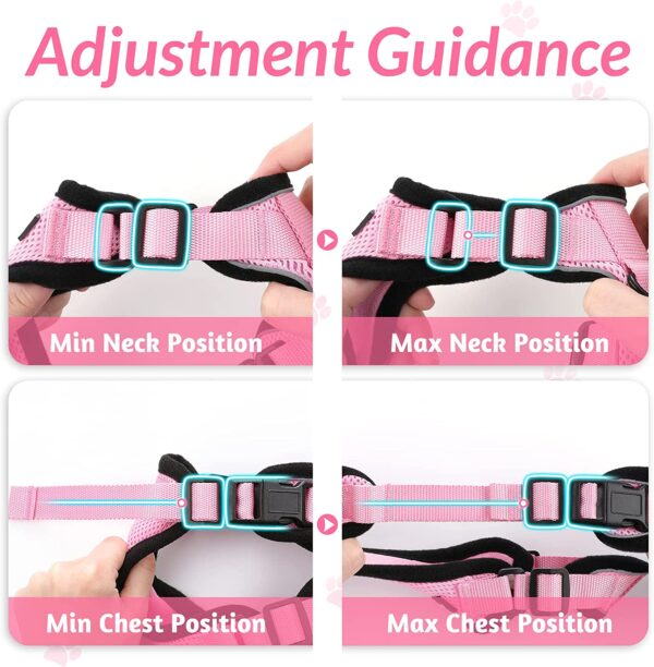 Adjustable Harness and Leash Set | Escape Proof Vest for Pets