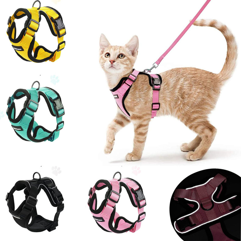 Adjustable Harness and Leash Set