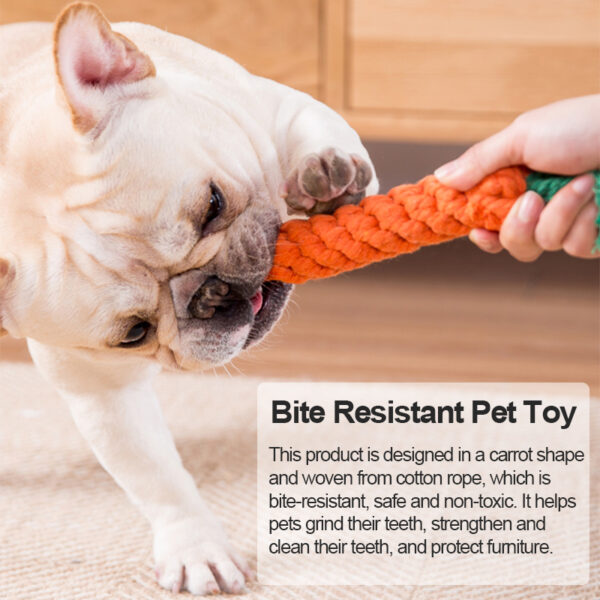 Cartoon Animal Pet Dog Chew Toy: Durable and Fun