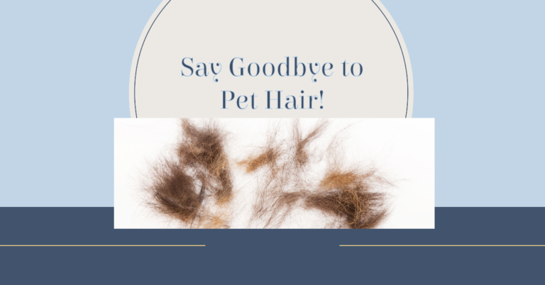 Can Lint Removers Effectively Remove Pet Hair?