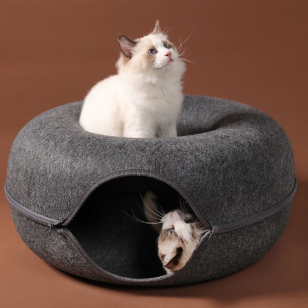 Interactive Cat Bed and Tunnel - Dual-Use Kitten Toy