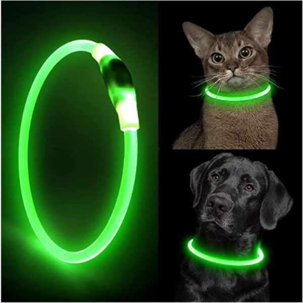 LED Light Dog Collar | Detachable Glowing USB Charging | Luminous Leash for Big Cats and Small Dogs