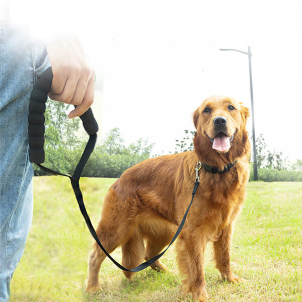 New Long Dog Leash Rope | Comfortable Sponge Handle | Outdoor Training Lanyard for Small, Medium, Large Dogs