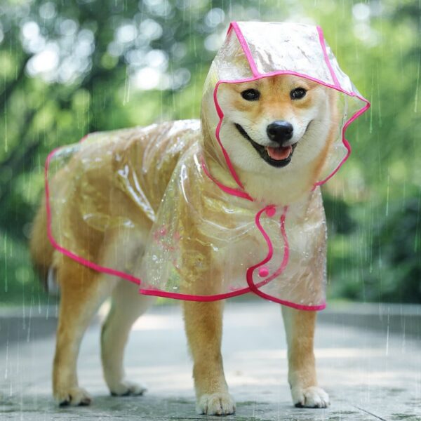 Pet Dog Puppy Transparent Rainwear - Stylish Hooded Raincoat