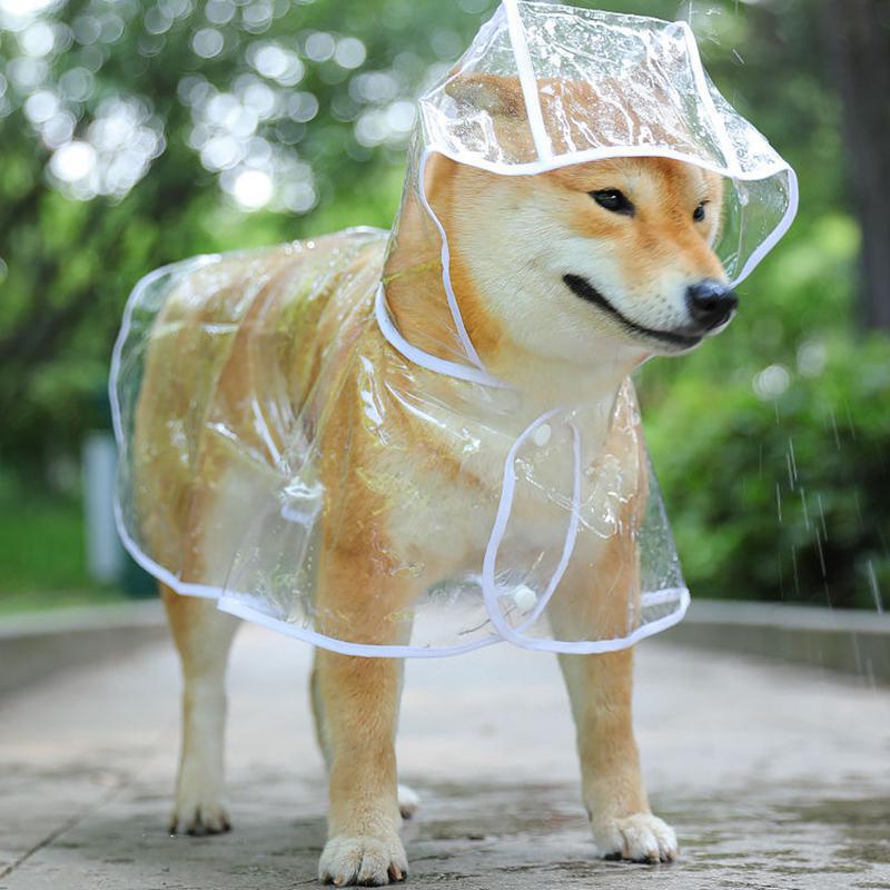 Pet Dog Puppy Transparent Rainwear