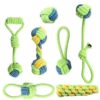 Interactive Pet Dog Toys