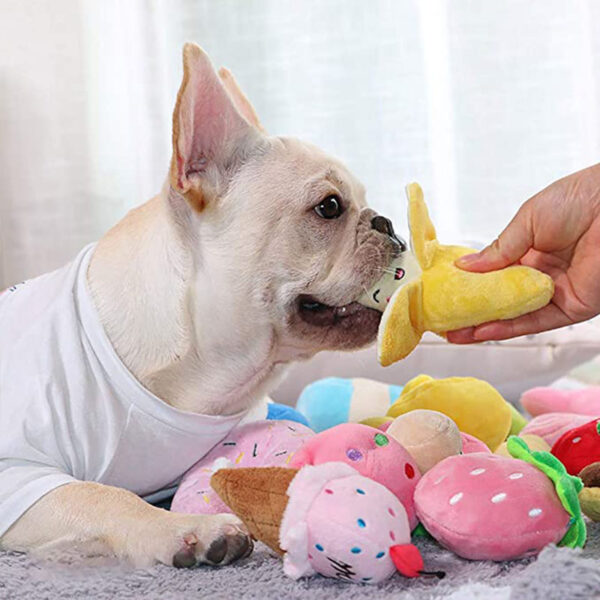 Plush Squeaky Dog Toys for Small and Medium Dogs