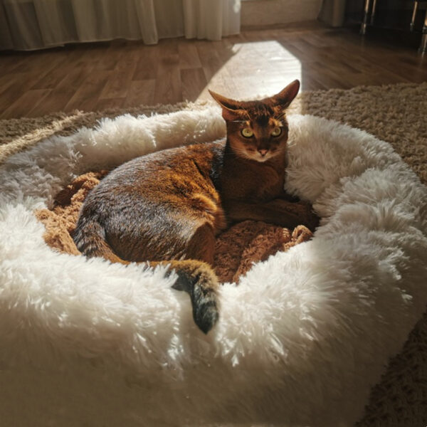 Ultra-Comfortable Dog Bed and Plush Cat Mat for Large Dogs and Labradors