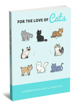 For The Love Of Cats