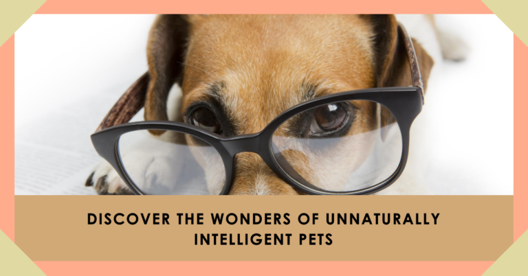 Discover the Wonders of Unnaturally Intelligent Pets 1