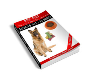 The Right Food For Your Dog